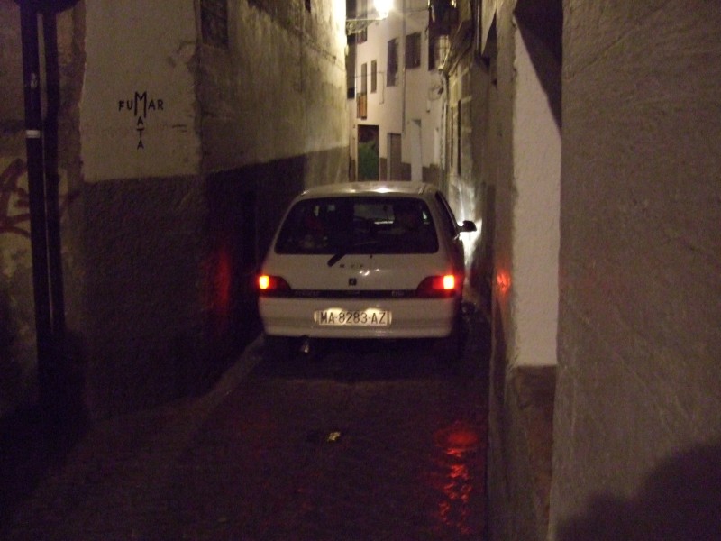 Anadalusien 2009 - 1029 